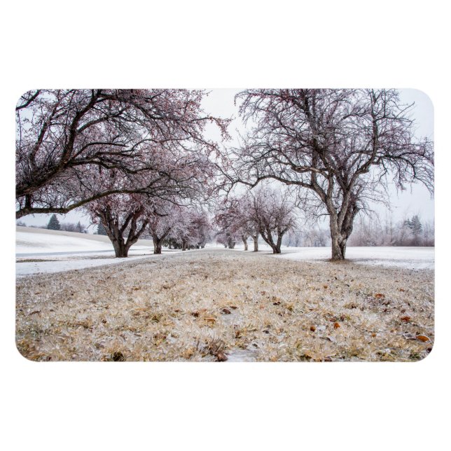 Íman Magneta plana 4x6 (Horizontal)