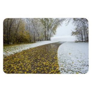 Íman Magneta plana 4x6