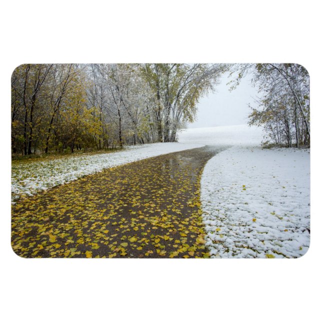Íman Magneta plana 4x6 (Horizontal)