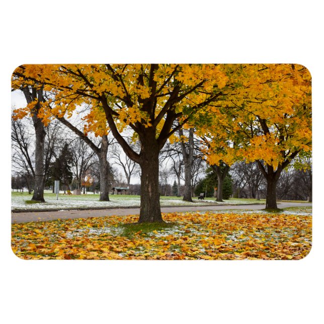 Íman Magneta plana 4x6 (Horizontal)