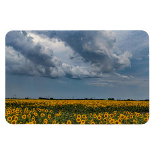 Íman Magneta plana 4x6