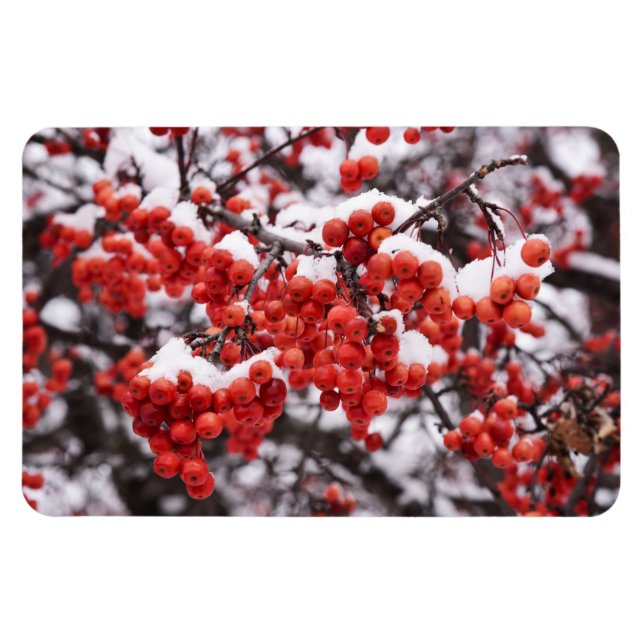 Íman Magneta plana 4x6 (Horizontal)