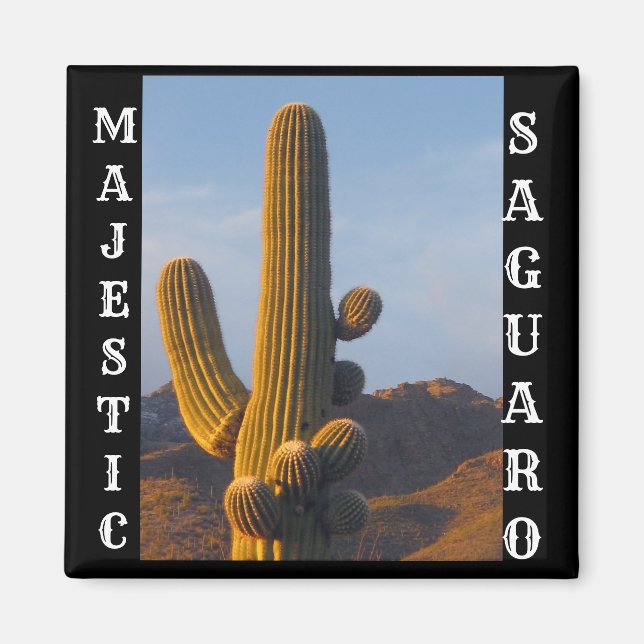 Íman Magneta praça Saguaro majestosa (Frente)