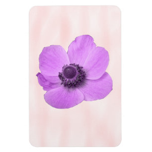 Íman Magneta Premium Anemone Rosa