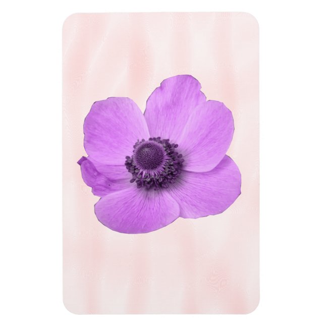 Íman Magneta Premium Anemone Rosa (Vertical)
