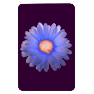 Íman Magneta Premium Azul e Vermelho Marigold