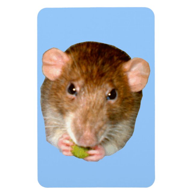 Íman Magneta Premium com Rato Fome (Vertical)