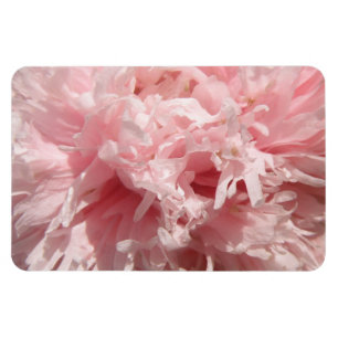 Íman Magneta Premium, Cor-de-rosa pálido e bonito