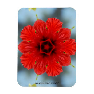 Íman Magneta Premium de Flor Vermelho