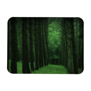 Íman Magneta Premium de Floresta Encantada