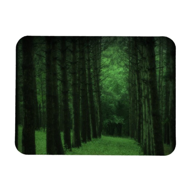 Íman Magneta Premium de Floresta Encantada (Horizontal)