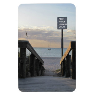 Íman Magneta Premium Humano de Faixa Livre