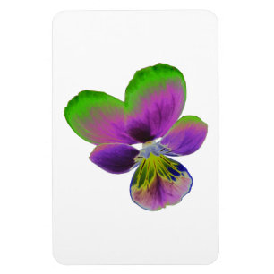 Íman Magneta Premium Pansy Púrpura e Verde