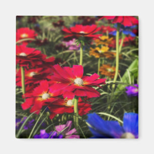 Íman Magneta Primavera iridescente