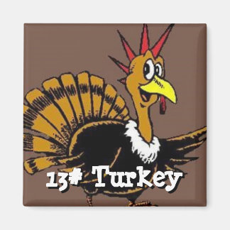 Íman Magneta quadrada