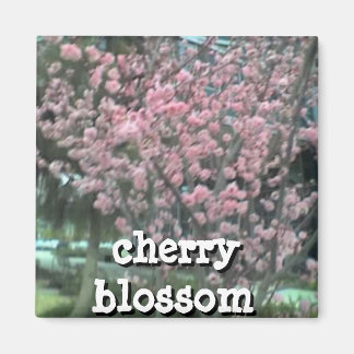 Íman Magneta quadrada