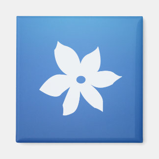 Íman Magneta quadrada