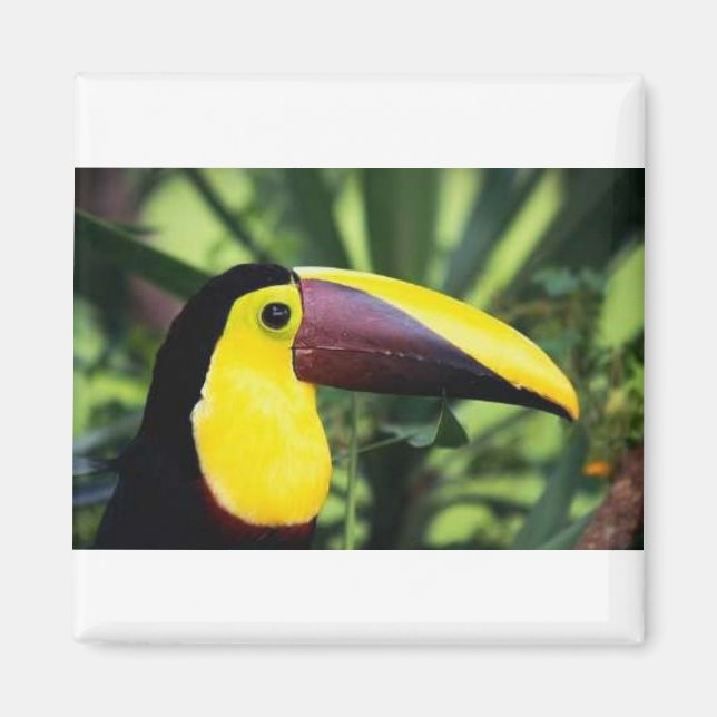 Íman Magneta quadrada (Frente)