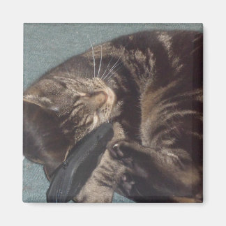 Íman Magneta Quadrada Dave 5.1 Cm