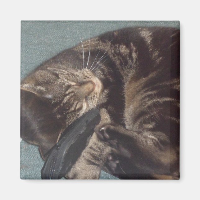 Íman Magneta Quadrada Dave 5.1 Cm (Frente)