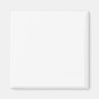 Íman Magneta quadrada de 2 pol personalizável