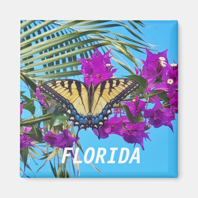 Íman Magneta quadrada de 2 polegadas (Frente)