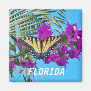 Íman Magneta quadrada de 2 polegadas