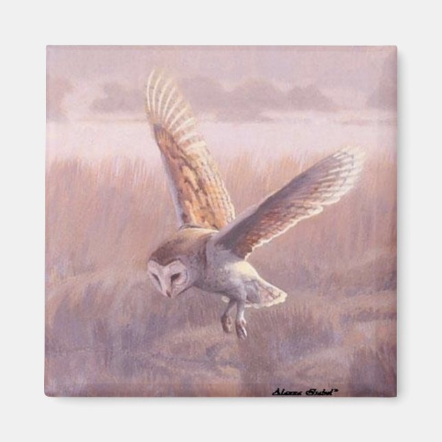 Íman Magneta Quadrada de Barn Owl (Frente)