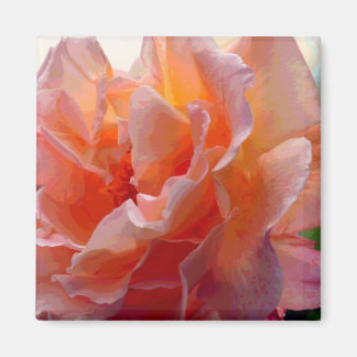 Íman Magneta Quadrada de Expressão de Cor rosa