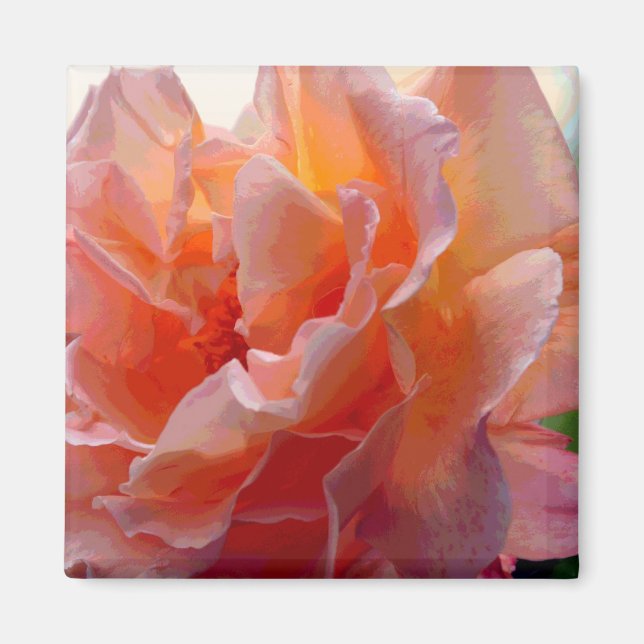Íman Magneta Quadrada de Expressão de Cor rosa (Frente)