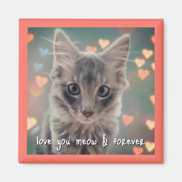 Íman Magneta quadrado gatinho Love