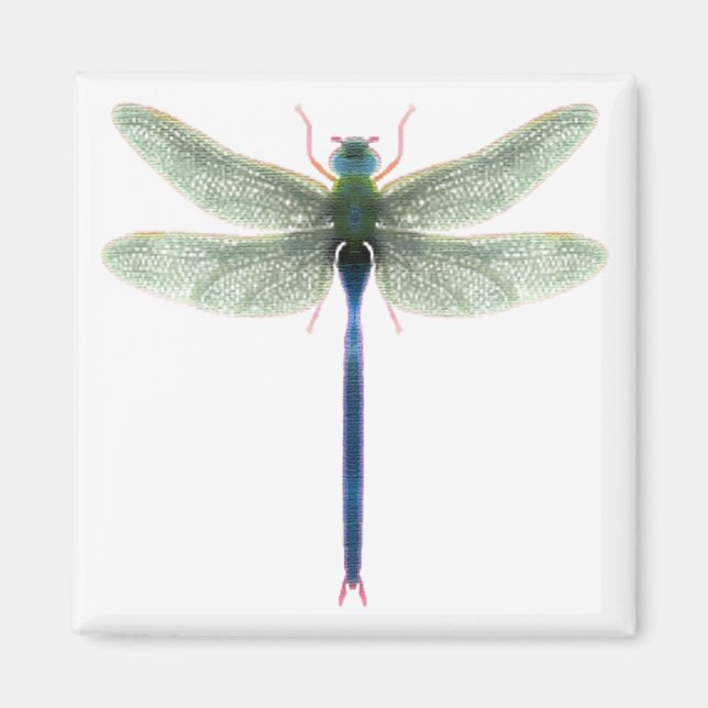 Íman Magneta Rainbow Dragonfly Square (Frente)