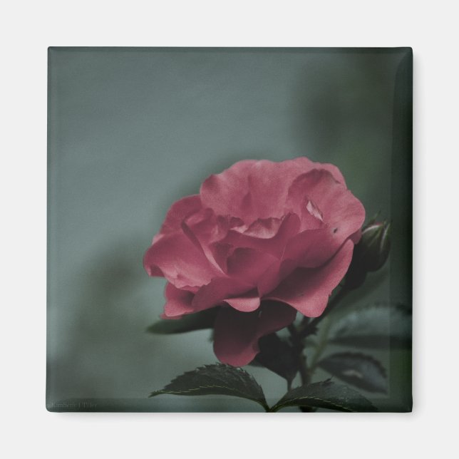 Íman Magneta Real Blush (Frente)