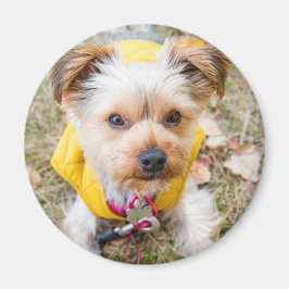 Íman Magneta redonda