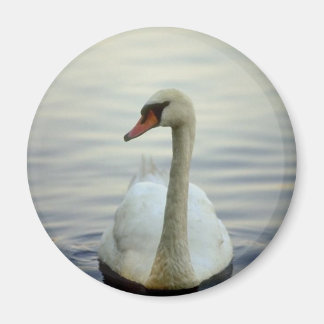 Íman Magneta redonda