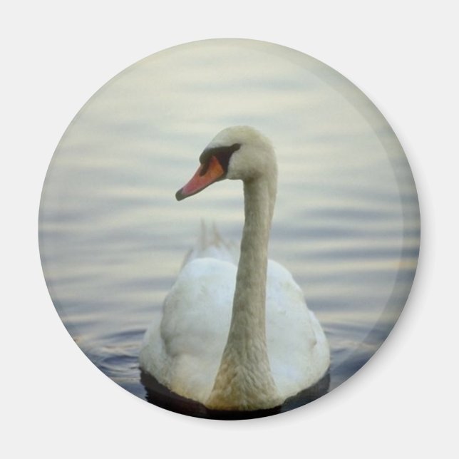 Íman Magneta redonda (Frente)