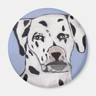 Íman Magneta redonda