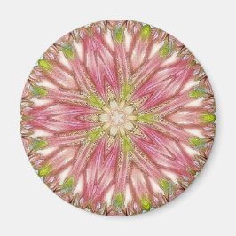 Íman Magneta redonda