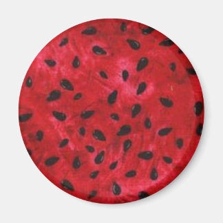 Íman Magneta redonda