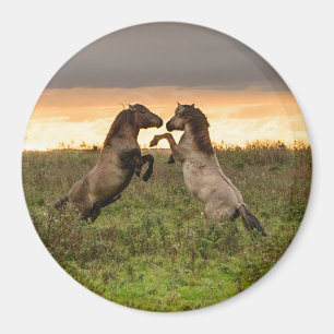 Íman Magneta redonda de cavalos selvagens