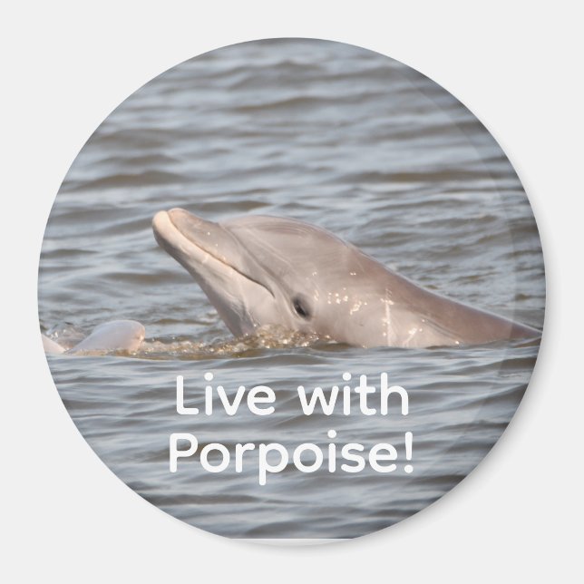 Íman Magneta redonda de golfinhos (Frente)