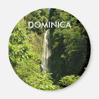 Íman Magneta redonda standard de 2¼ polegadas