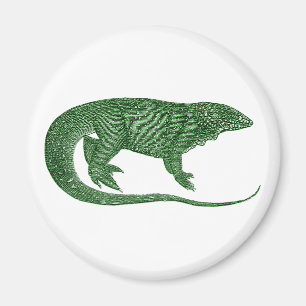 Íman Magneta redonda variável Lizard