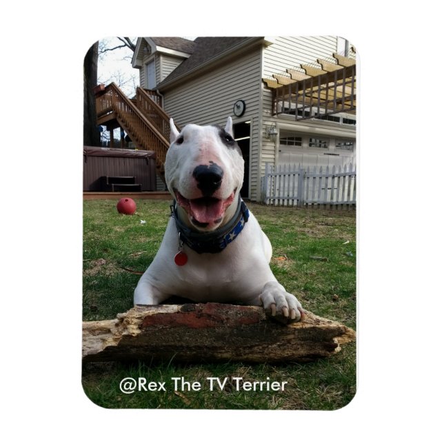 Íman Magneta Rex Feliz (Vertical)