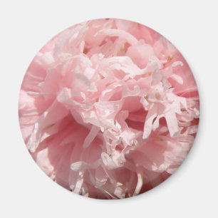 Íman Magneta rosa pálida bonito