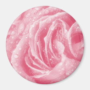 Íman Magneta Rosa Rosa Cinzenta Espontada