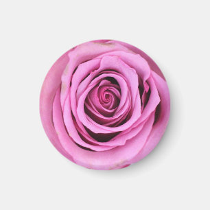 Íman Magneta Rosa Rosa Rosa Rosa Rosa Rosa Rosa