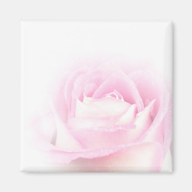 Íman Magneta rosa suave (Frente)