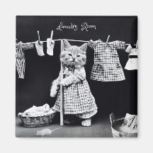 Magneta, roupa de gato