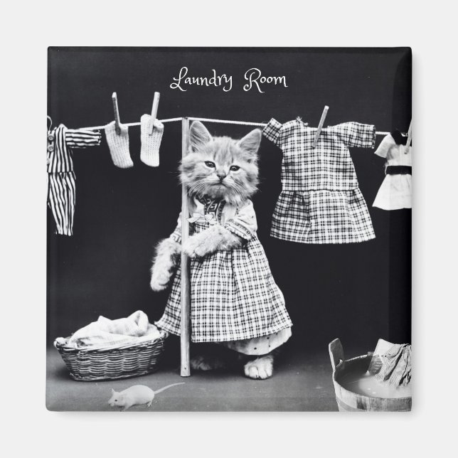 Íman Magneta, roupa de gato (Frente)